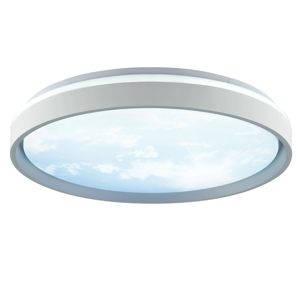 Plafonniere Sky-Dream wit met grijs Ø 48,5cm Brilliant 4004353473999