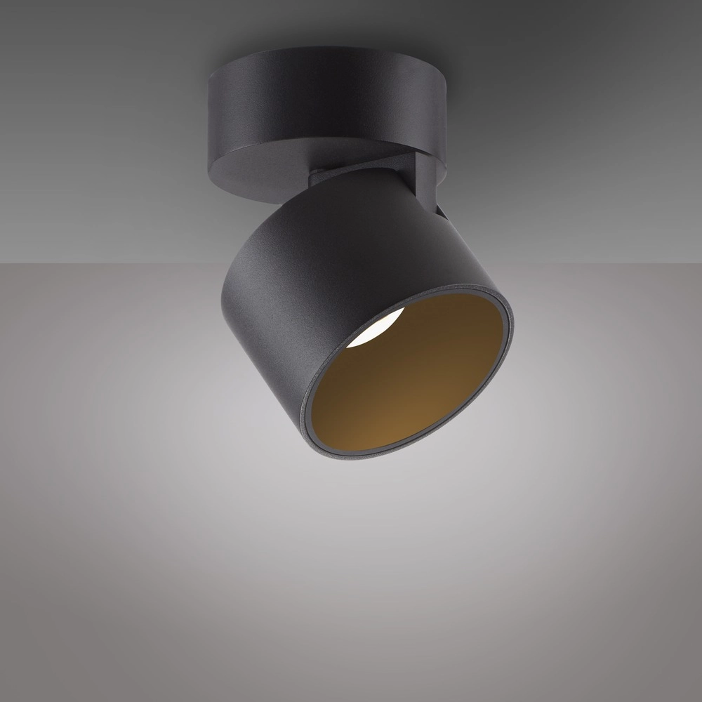 Strakke opbouwspot Pure Cup black pearl Paul Neuhaus 4012248395585