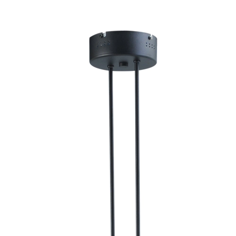 Stoere design hanglamp Dante 42-96 Masterlight 8718121182018