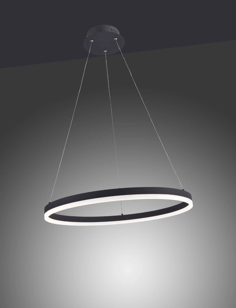 Led hanglamp Titus Ø 60cm Paul Neuhaus 4012248305157