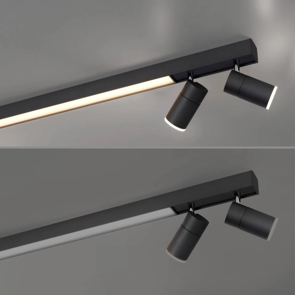 Strakke plafondlamp Pure Lines Spot antraciet Paul Neuhaus 4012248366349