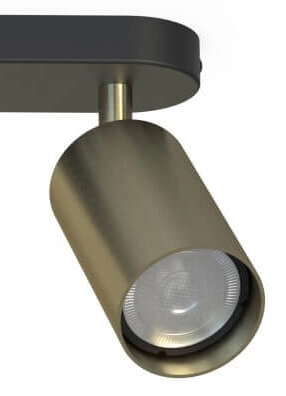 Dubbele opbouwspot Eye goud met zwart Lyora 5903139881791