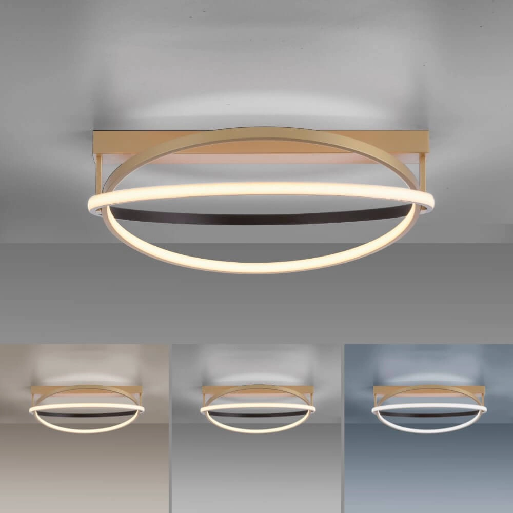 Plafondlamp Q-Beluga messing Paul Neuhaus 4012248373606