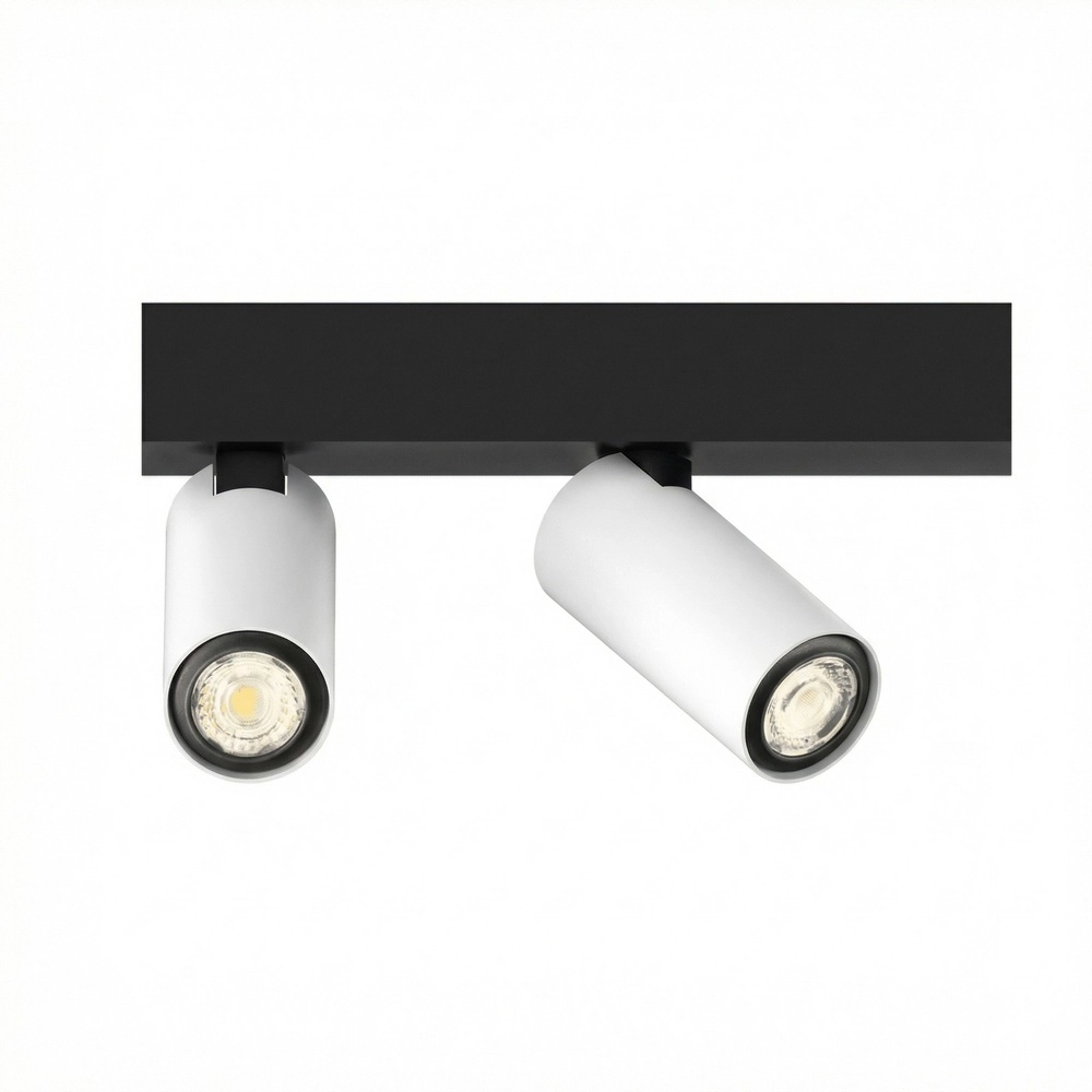 2-lichts opbouwspot Tevo Mini zwart met wit