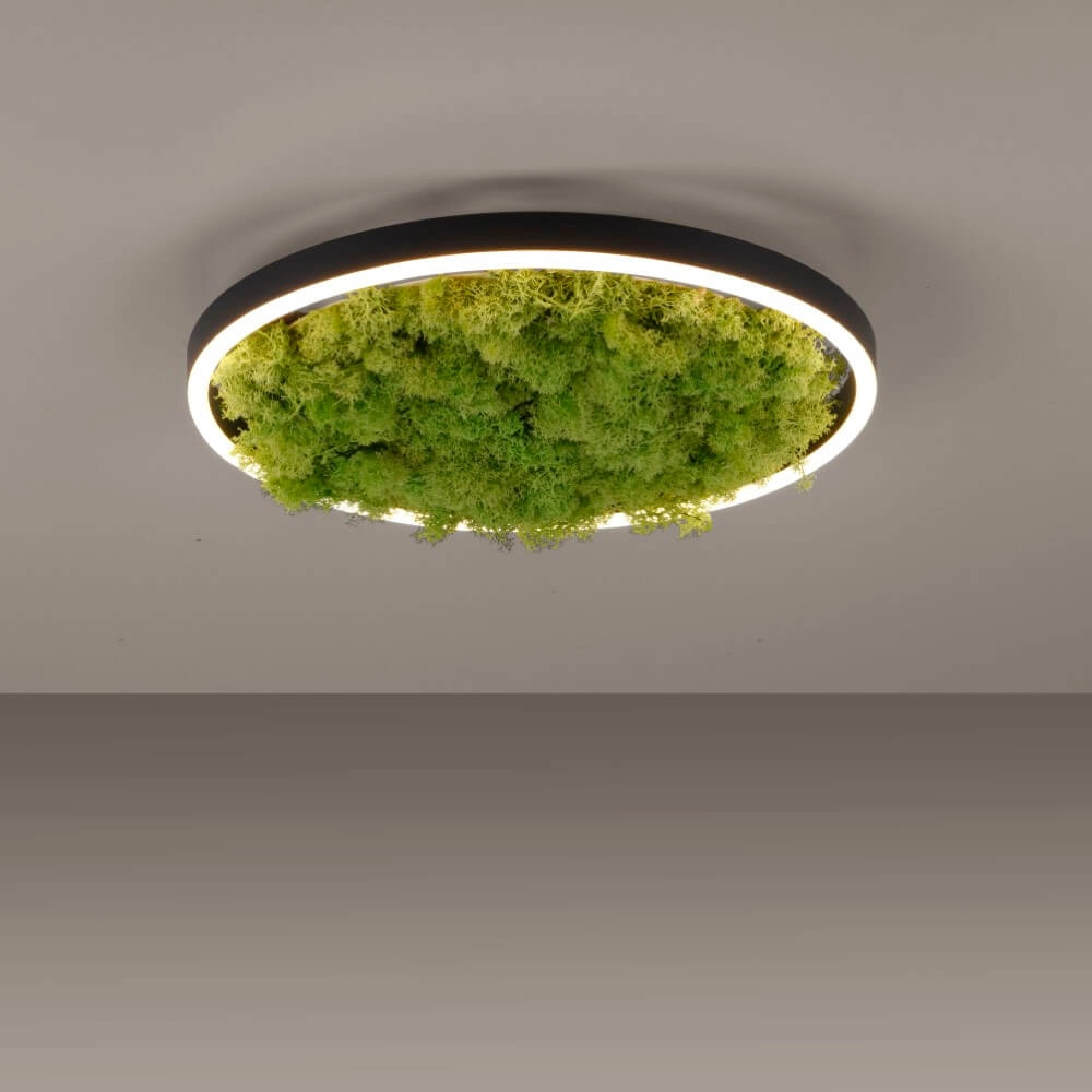 Plafondlamp Green Ritus met mos Ø 39,3cm Just Light 4043689994792