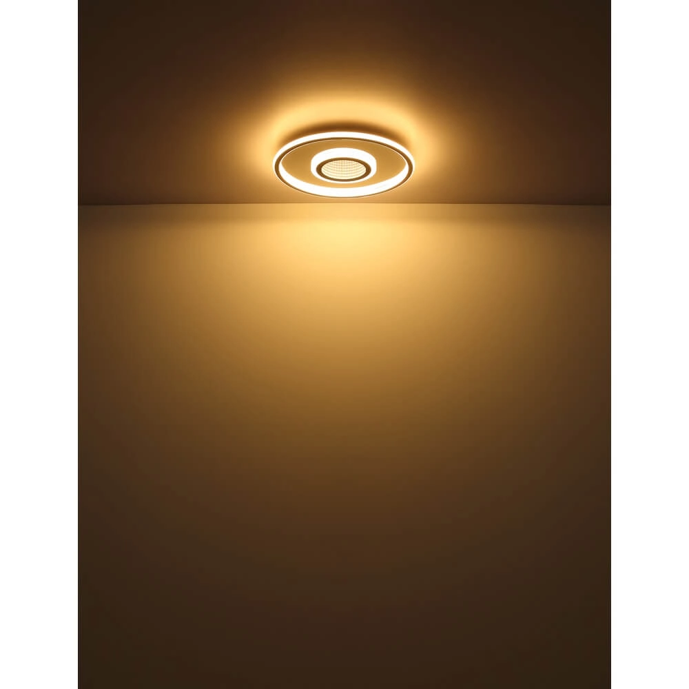 Plafondlamp Cara rond Ø 43,2cm Globo 9007371481101