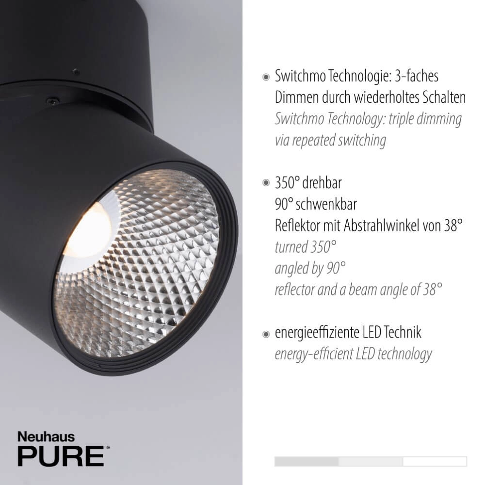 Plafondlamp Pure Nola 2-lichts zwart Paul Neuhaus 4012248372005