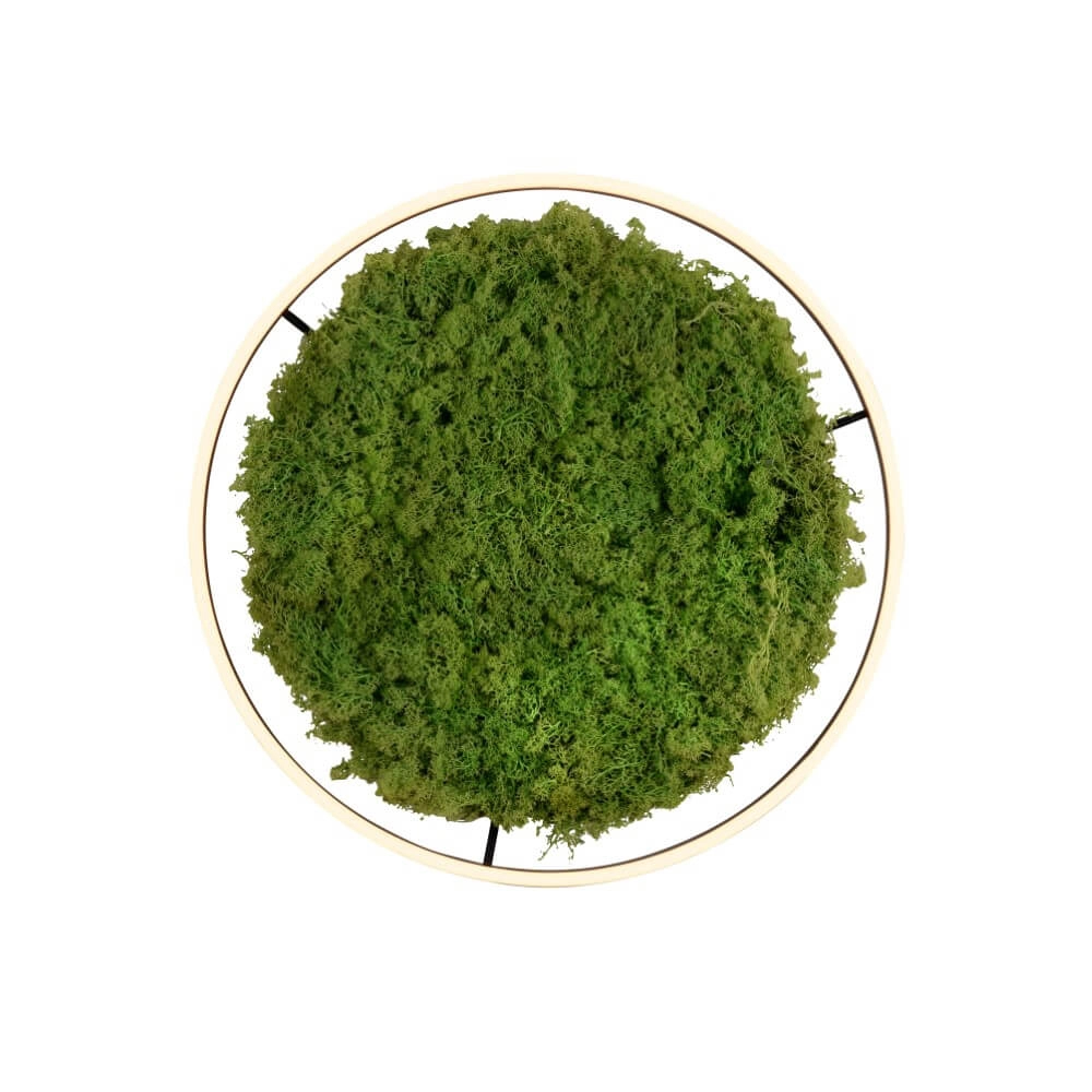 Plafondlamp Green Ritus met mos Ø 58,5cm Just Light 4043689994808