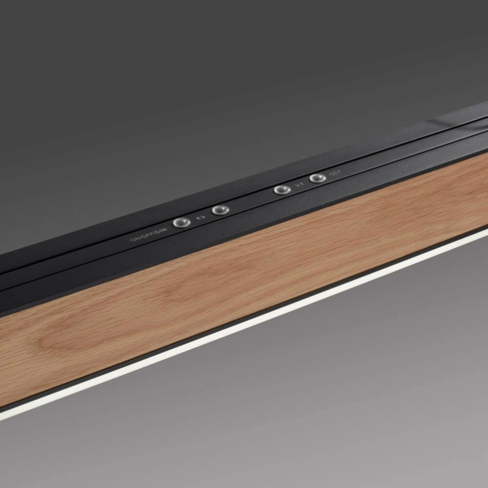 Design hanglamp Pure Moto-Rise hout Paul Neuhaus 4012248374443