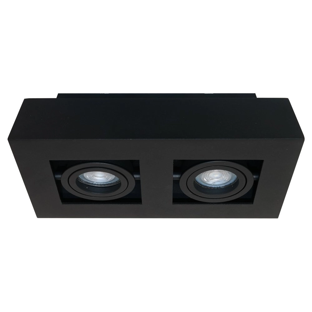 Plafondspot Bosco 2-lichts Artdelight 8719831736409