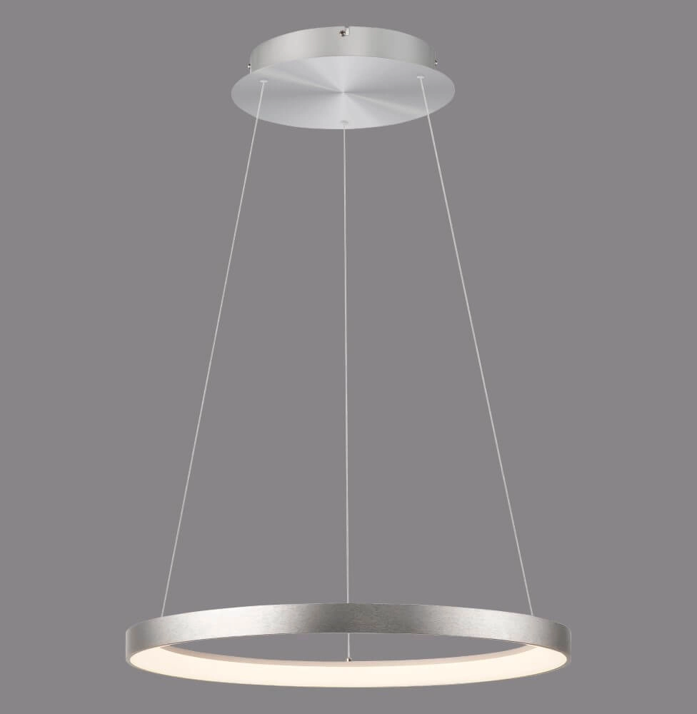 Ronde hanglamp Hoop aluminium Paul Neuhaus 4012248384718