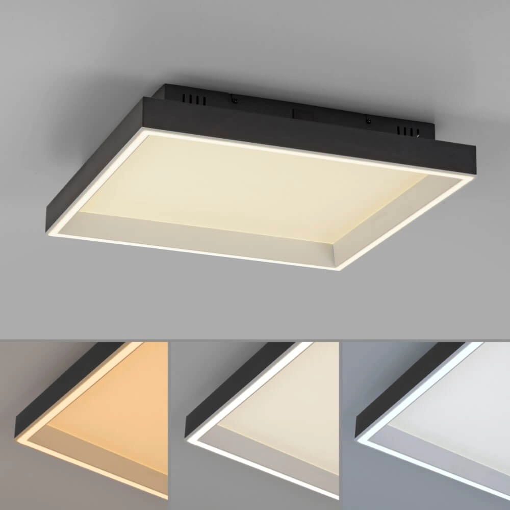 Zwarte plafondlamp Q-Magong vierkant Paul Neuhaus 4012248384602