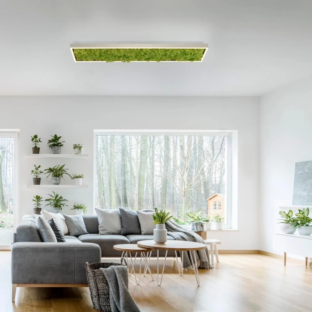 Rechthoekige plafondlamp Green Knut met mos Just Light 4043689994846