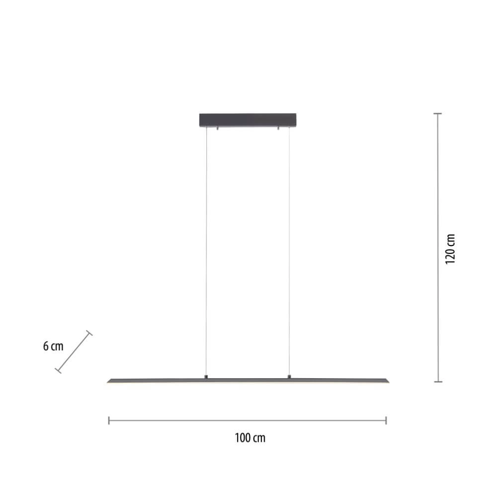Design hanglamp Pure Lite 100cm antraciet Paul Neuhaus 4012248344873