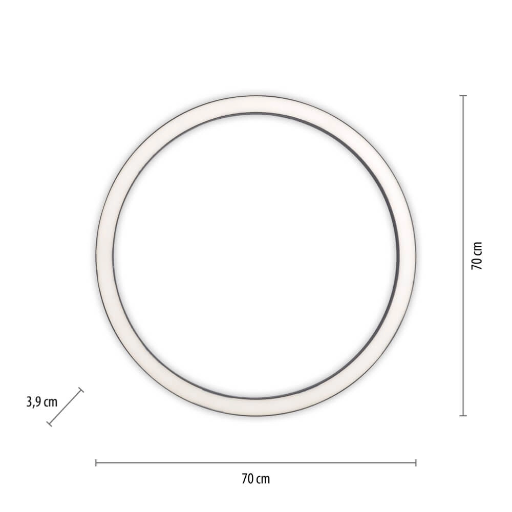 Ronde vloerlamp Pure Lines Round Ø 70cm antraciet Paul Neuhaus 4012248373521