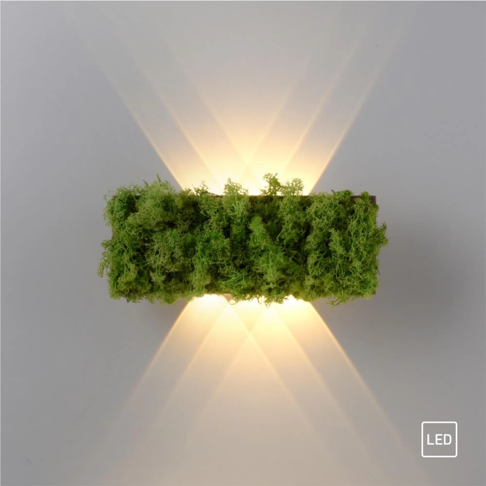 Rechthoekige plafondlamp Green Carlo met mos Just Light 4043689994853