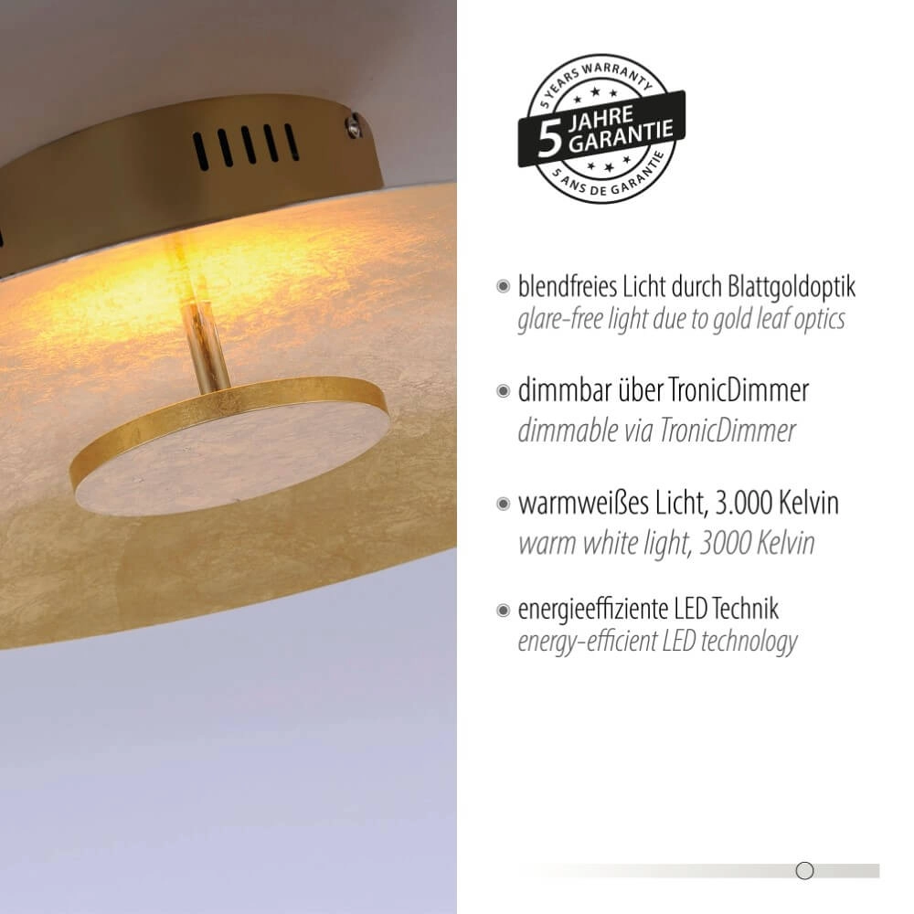 Plafondlamp Plate goud Paul Neuhaus 4012248281857