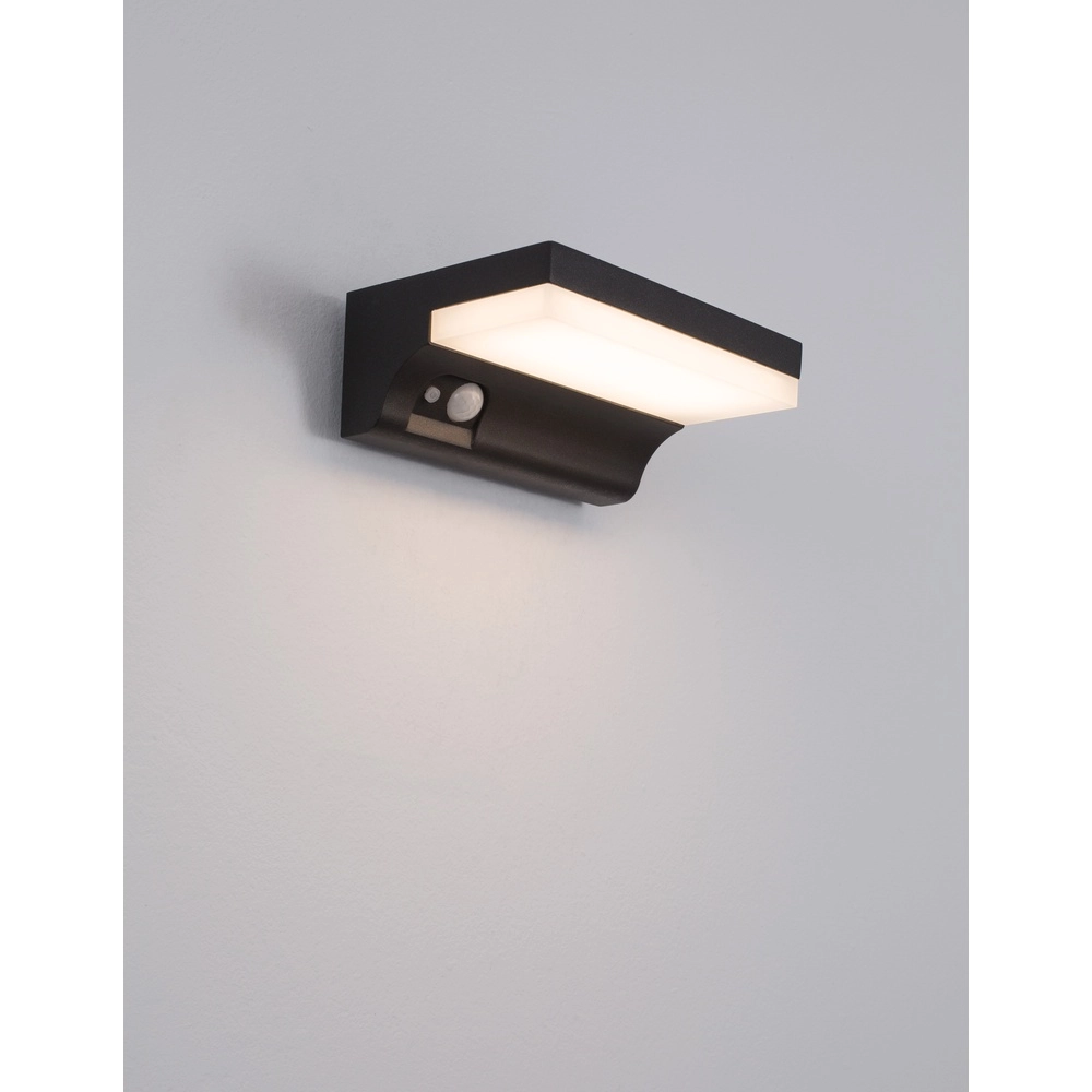 Solar wandlamp Dyn met sensor