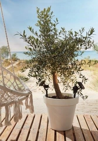 Set van 3 prikspots Zamora zwart solar Luxform 8719099193396