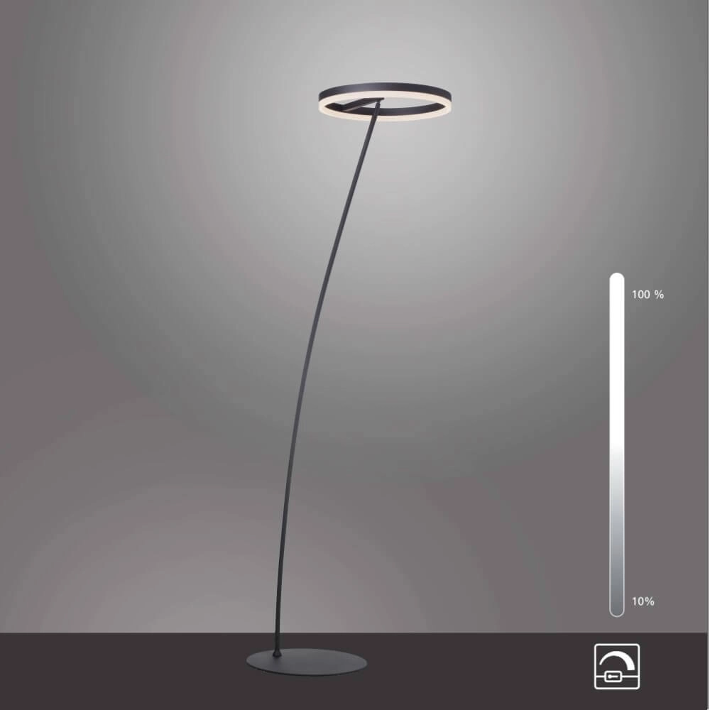 Antraciete vloerlamp Titus modern Paul Neuhaus 4012248357637