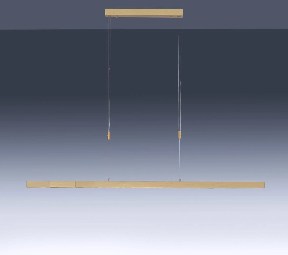 Messing hanglamp Adriana Paul Neuhaus 4012248333051