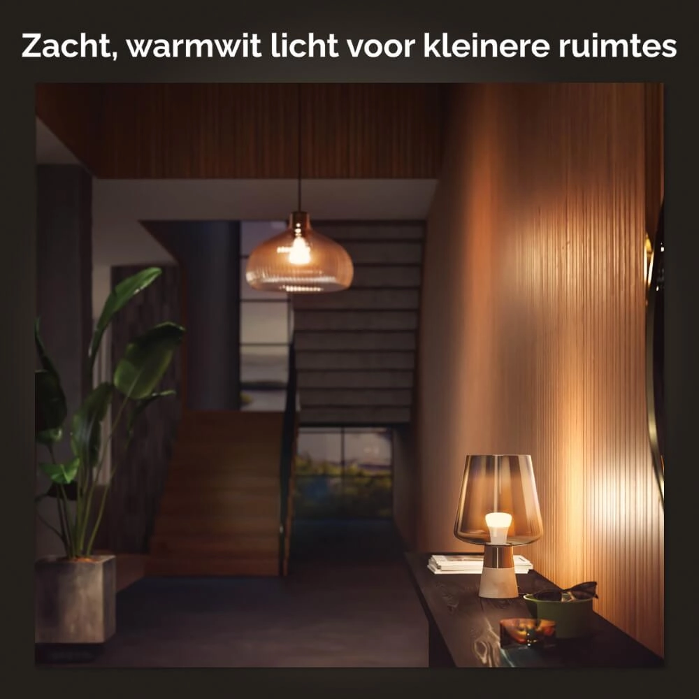 Hue - E27 - 9W - White set van 2 Philips 8719514319028