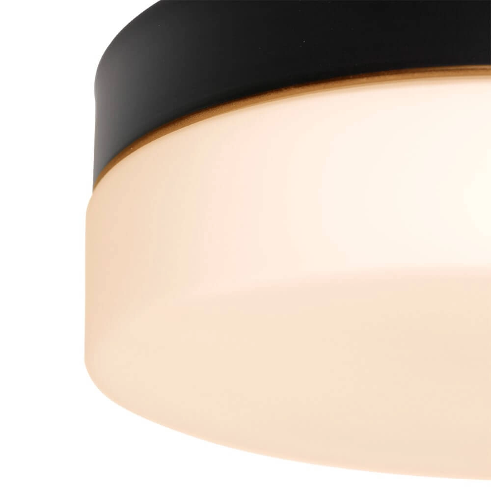 Badkamer plafondlamp Ikaro Ø 18cm Steinhauer 8712746152968