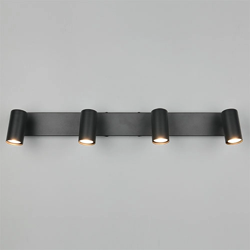 Opbouwspot Taryn 4-lichts zwart Trio 4017807685633