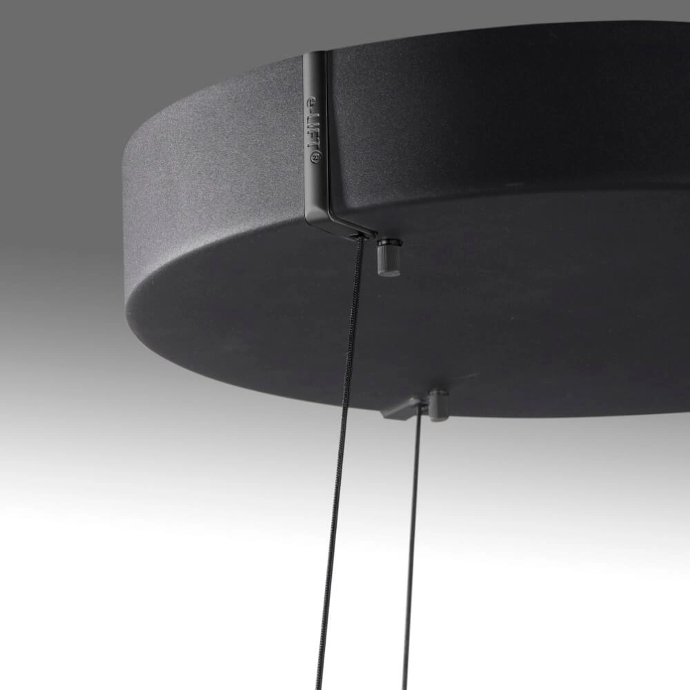 Strakke hanglamp Pure E-Loop zwart Paul Neuhaus 4012248386224