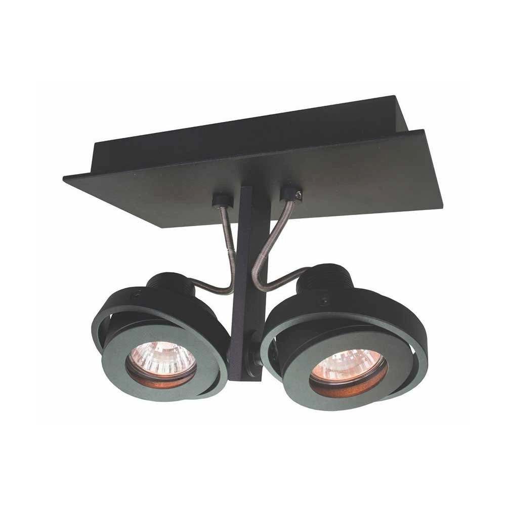 Zwarte opbouwspot Meist 2-lichts Zwarte opbouwspot Meist 2-lichts
