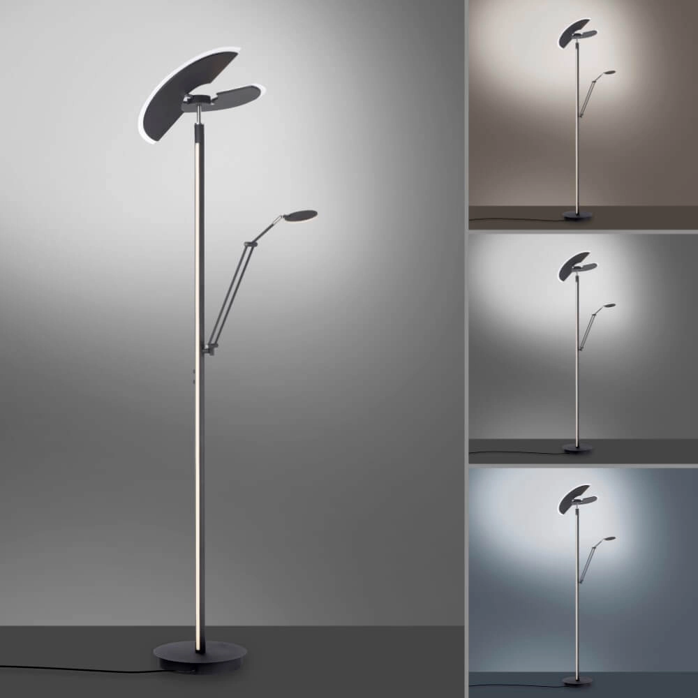 Vloerlamp Pure Mutil antraciet Paul Neuhaus 4012248364345