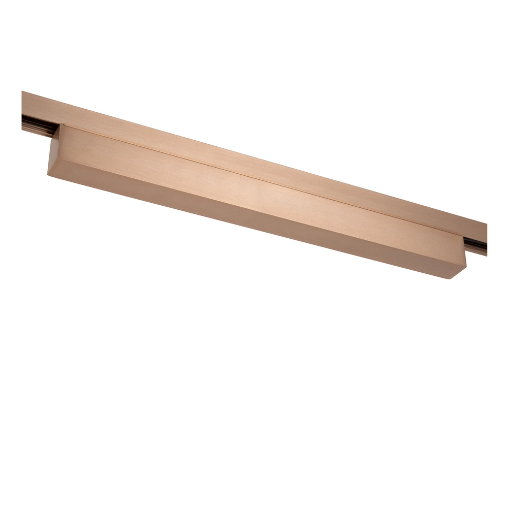 Opbouwdriver 1-fase Linial champagne Premium by Lucide 5411212552150
