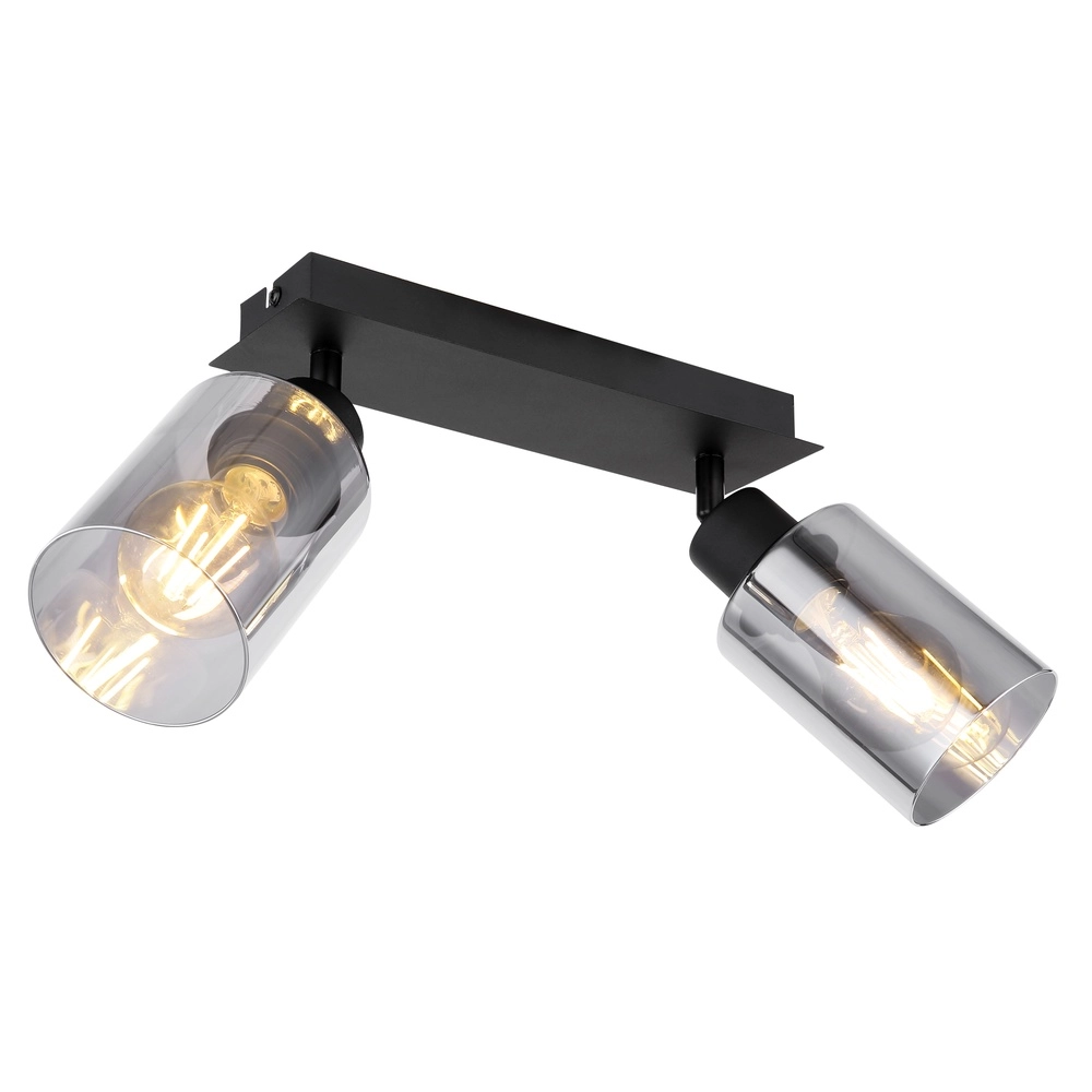 Plafondlamp Hadera 2-lichts zwart met smoke glas