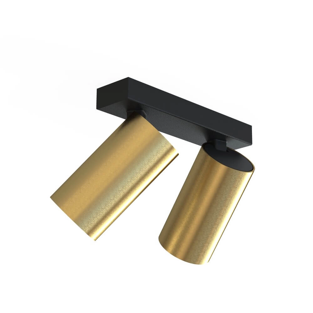 Gouden opbouwspot Mono 2-lichts kantelbaar Lyora 5903139778299