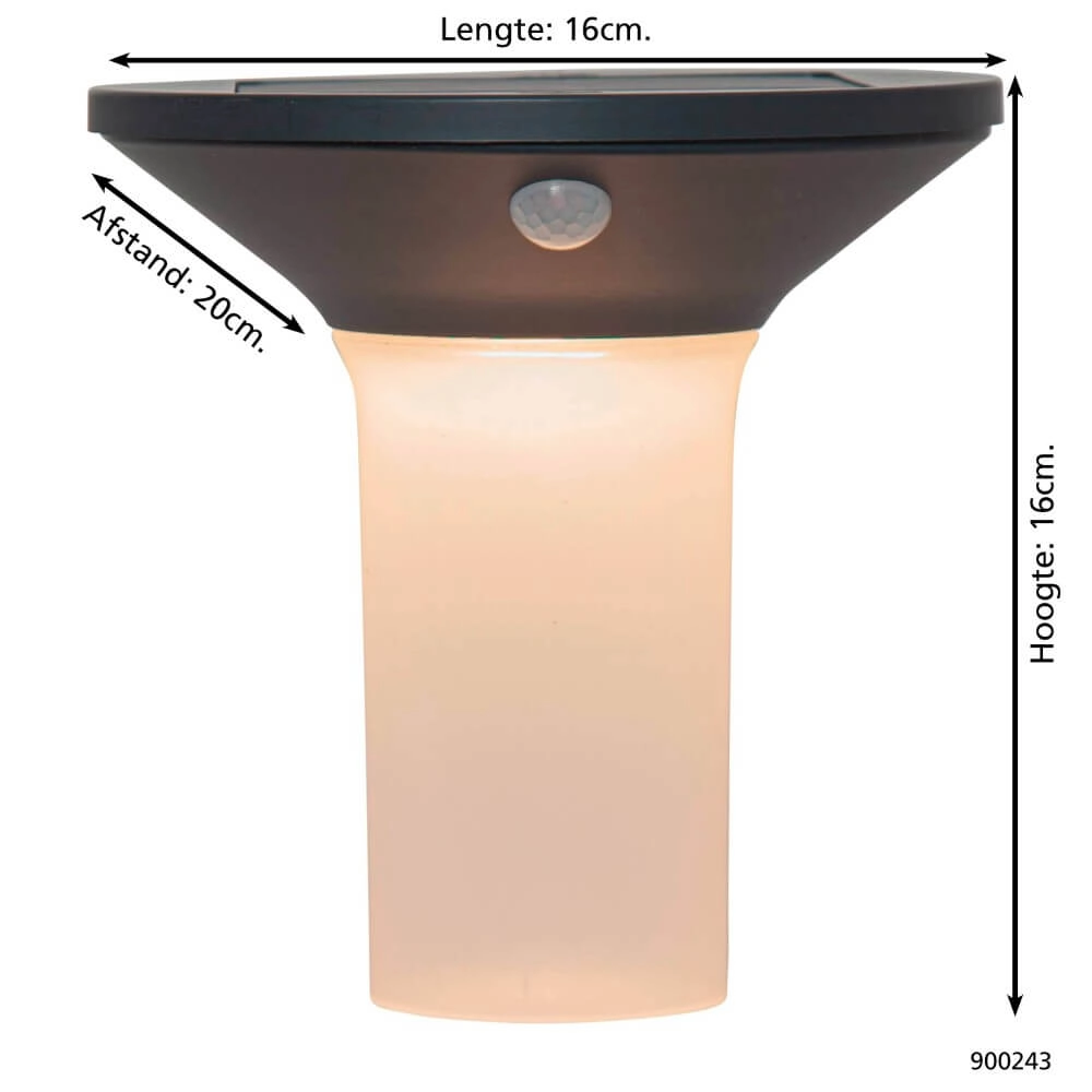 Solar lamp Corbezzola met bewegingssensor Eglo 9008606230020