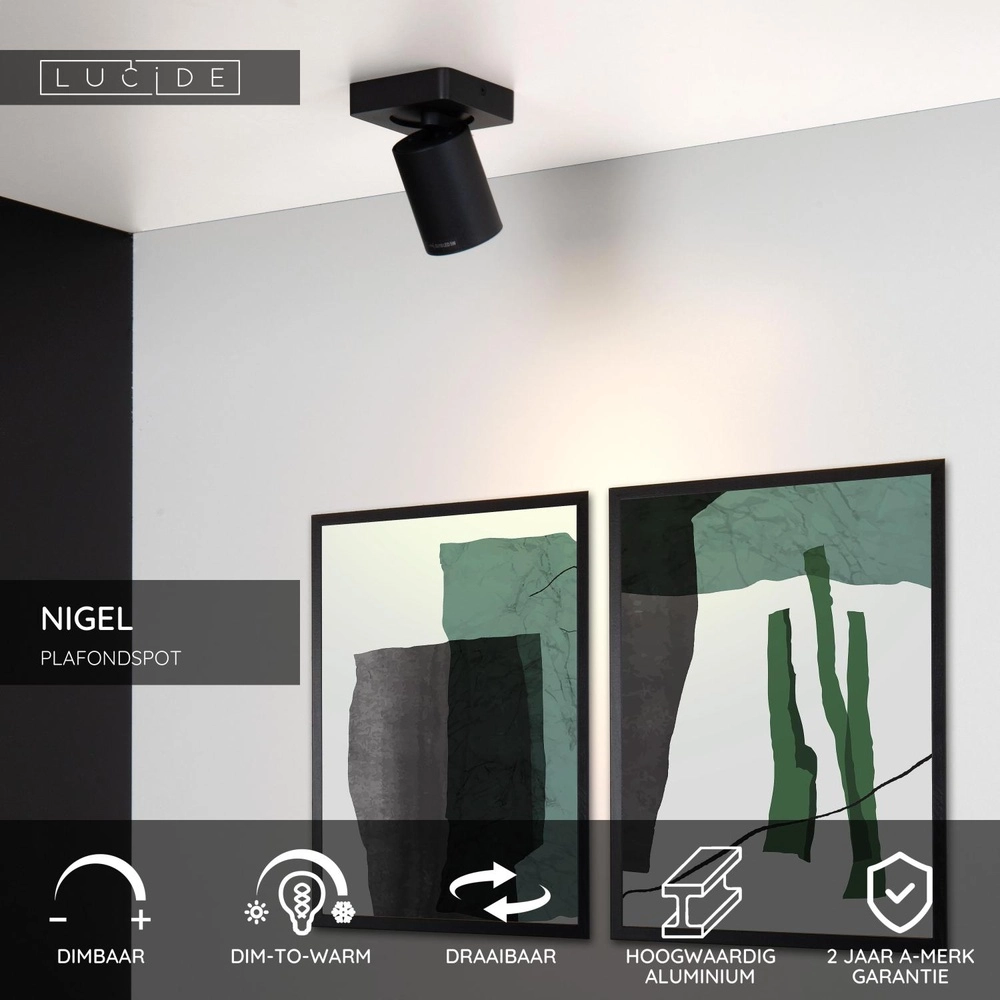 Plafondspot Nigel zwart Lucide 5411212092533