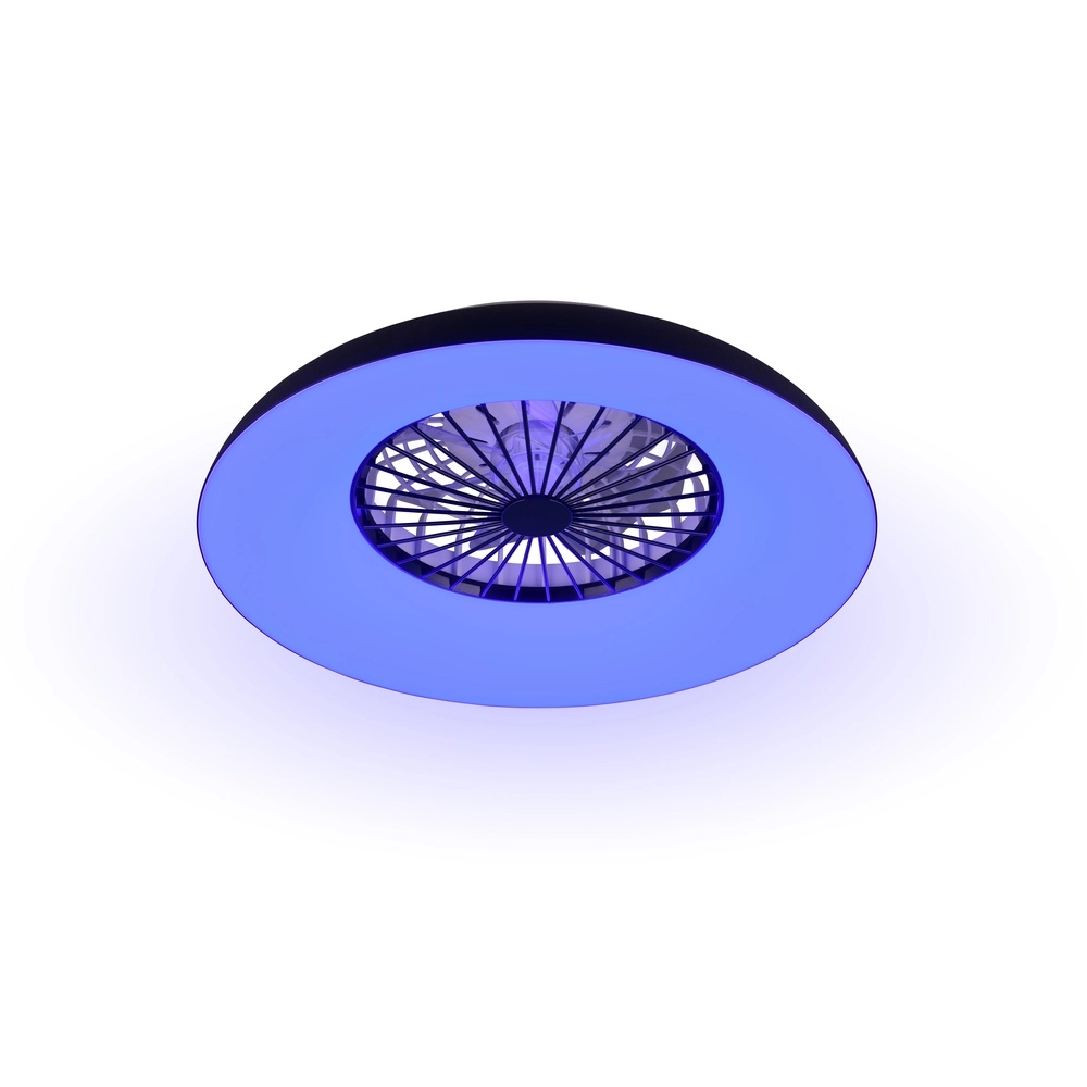 Design ventilator Svaerholt zwart Ø 60cm met RGB functie Trio 4017807688795