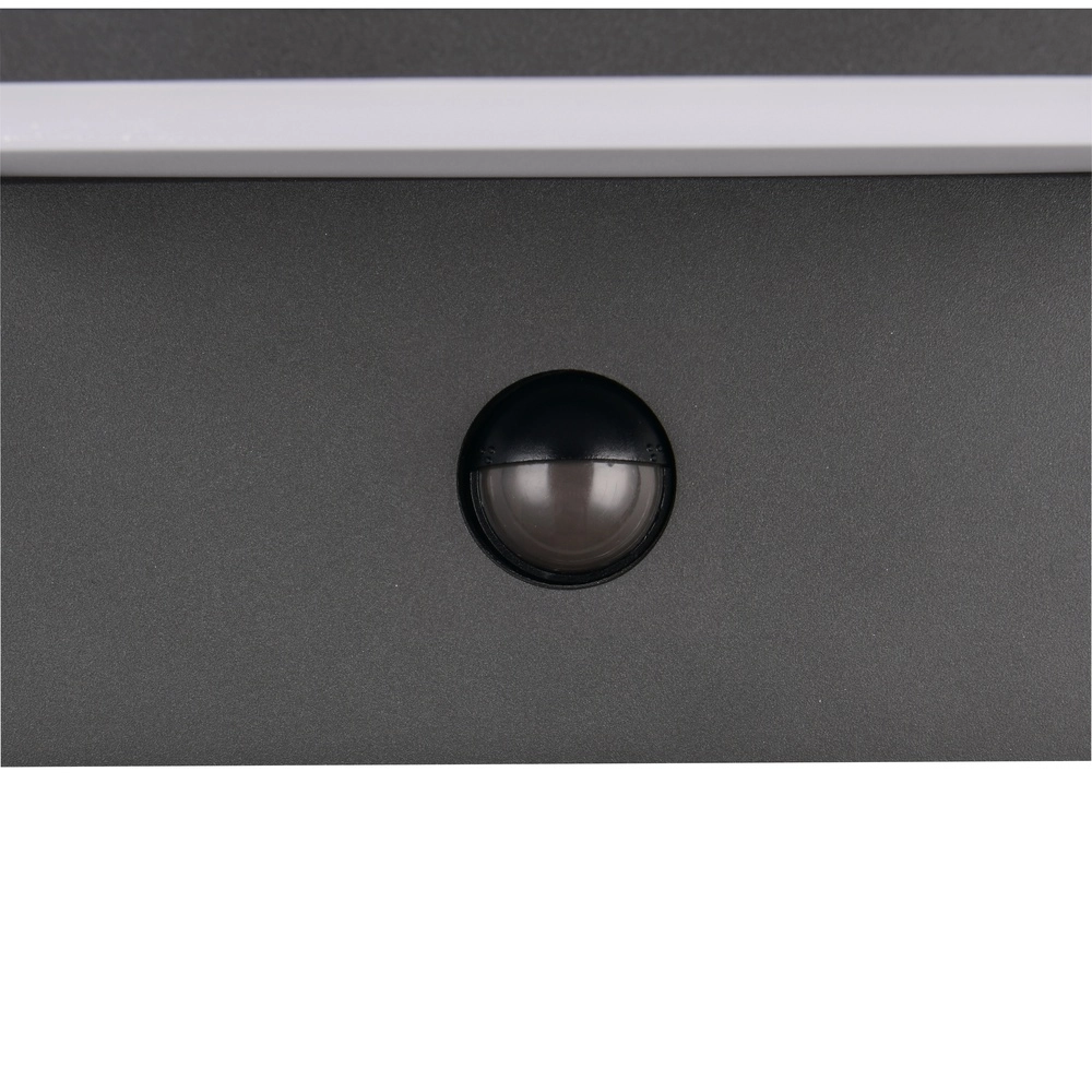 Moderne wandlamp Ravi antraciet met sensor Trio 4017807686890