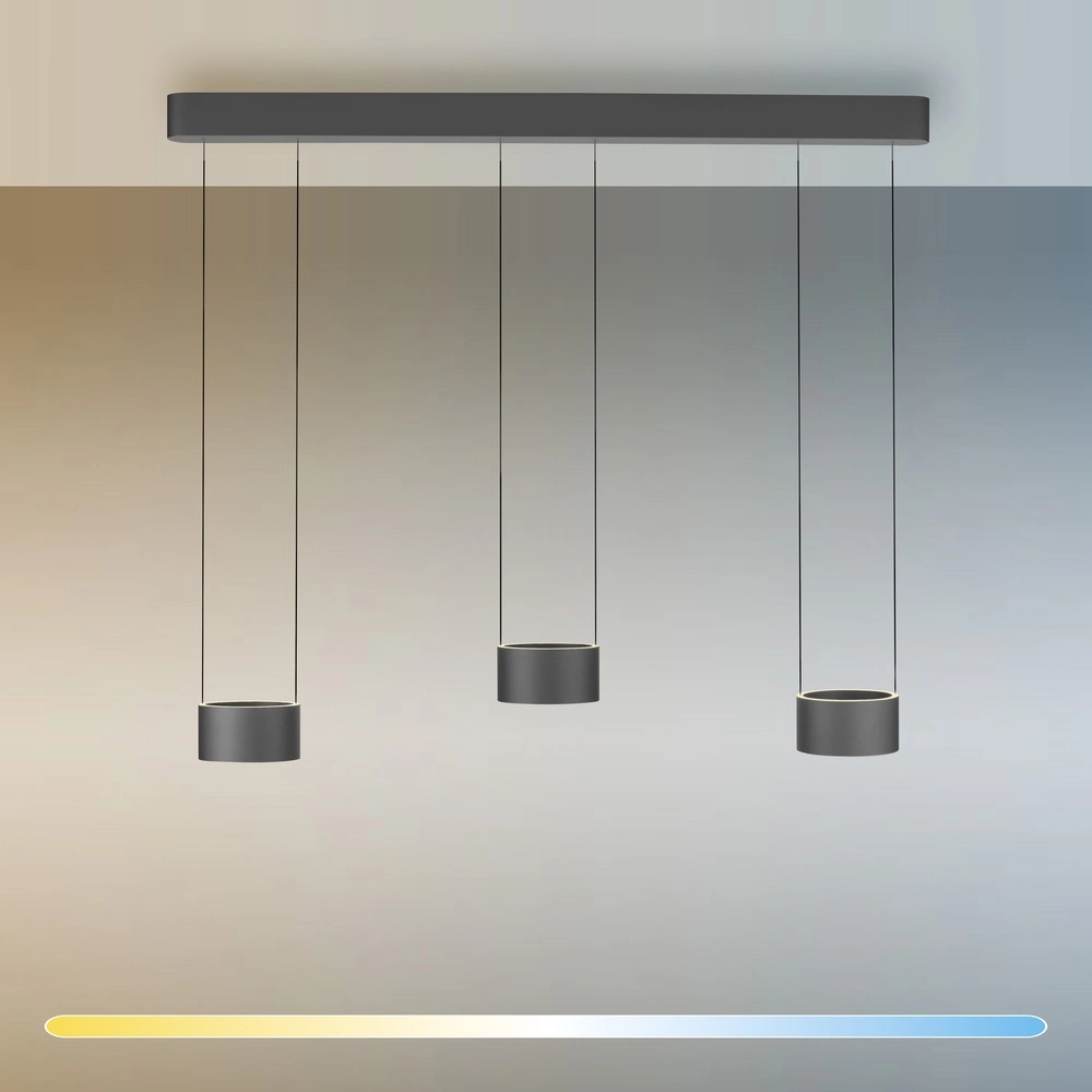 Design led hanglamp Pure Clipse Mystic grey Paul Neuhaus 4012248396315