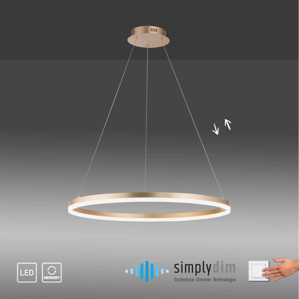 Moderne hanglamp Titus Ø 80cm antiek messing Paul Neuhaus 4012248362877