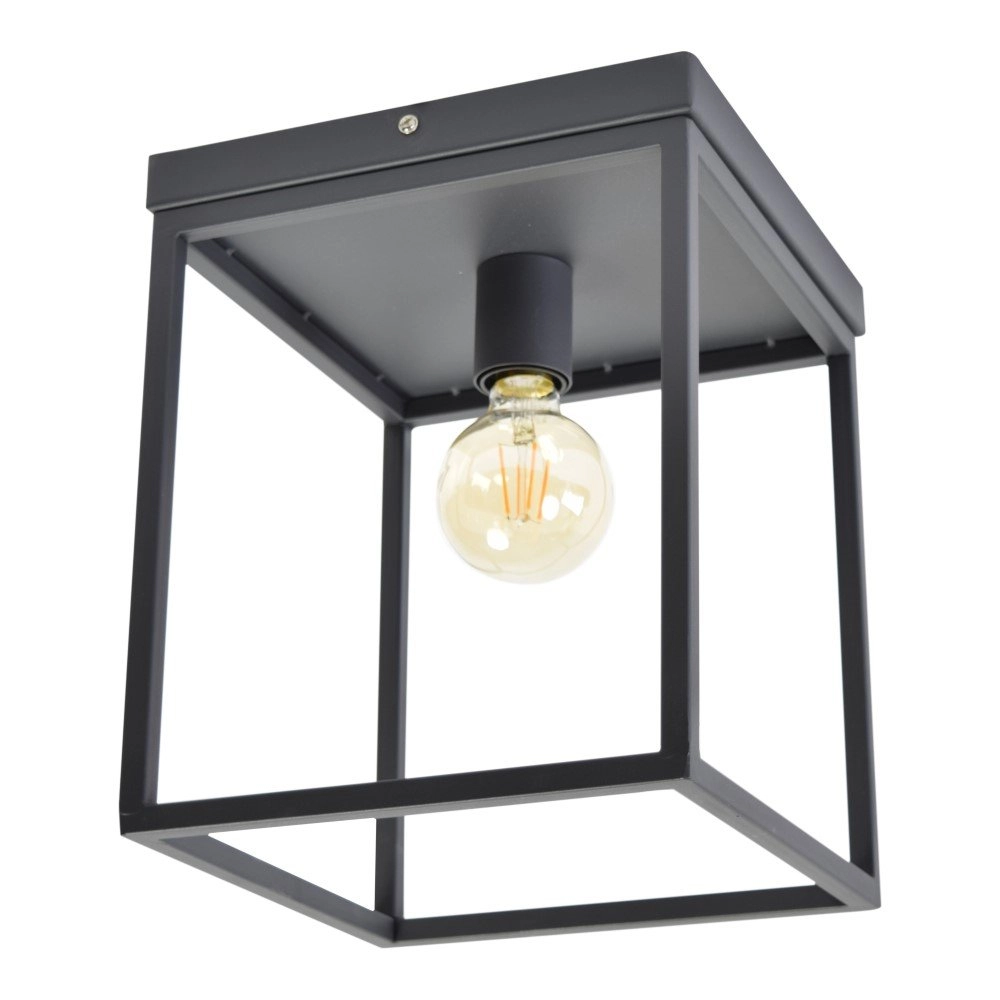 Plafondlamp Frame