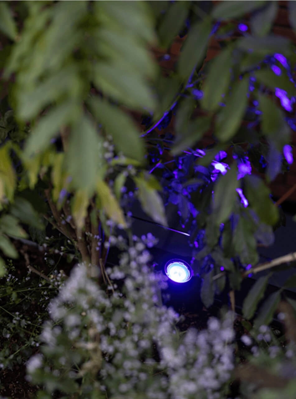 Prikspot Smart Scope Tone 12V In-lite 8717051005589