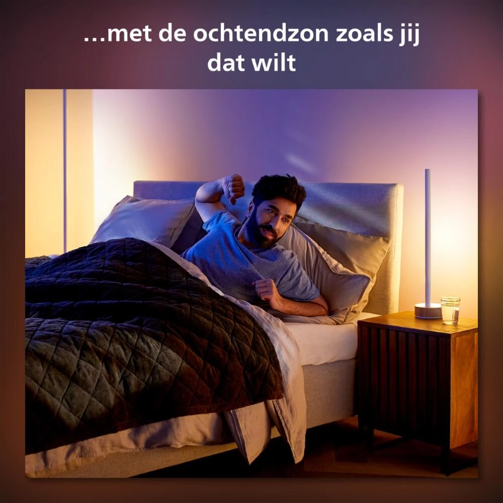 Slimme tafellamp Hue Signe - White and color Philips 8719514433465