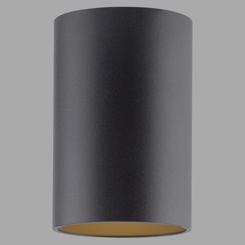 Plafond opbouwspot Pure Point Ø 6cm - black pearl