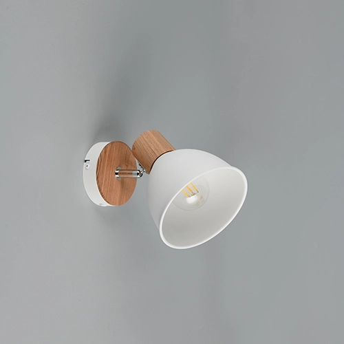 Plafondlamp Delume enkel wit Trio 4017807672213