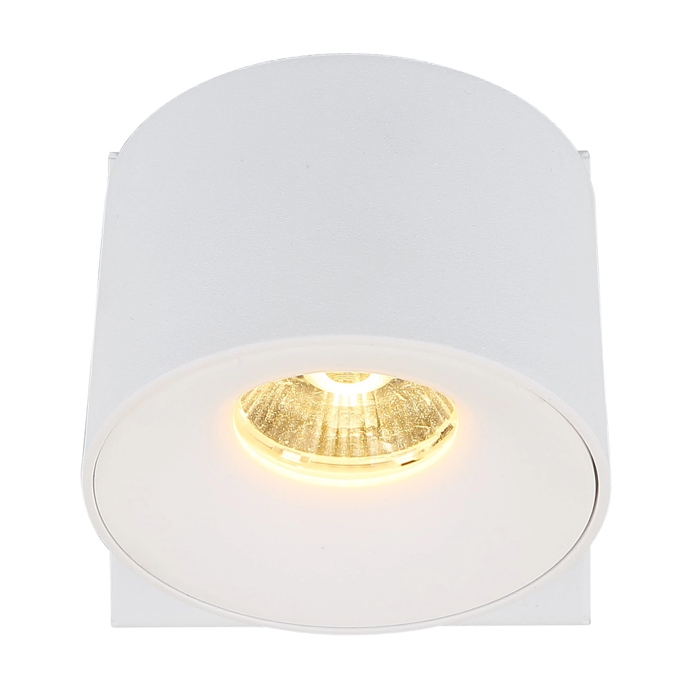 Strakke wandlamp Rae wit Globo 9007371459636