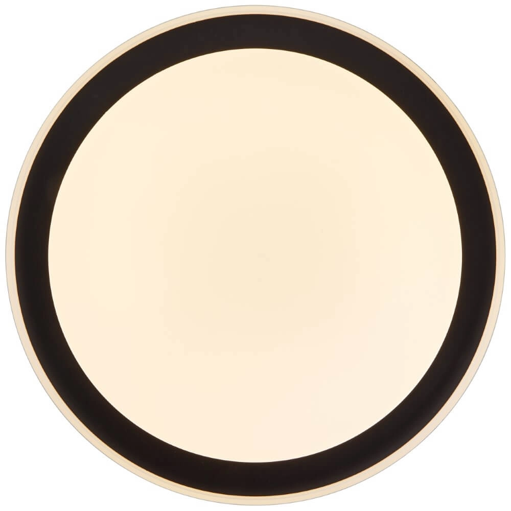 Strakke led plannière Pederson Ø 55cm Brilliant 4004353409721