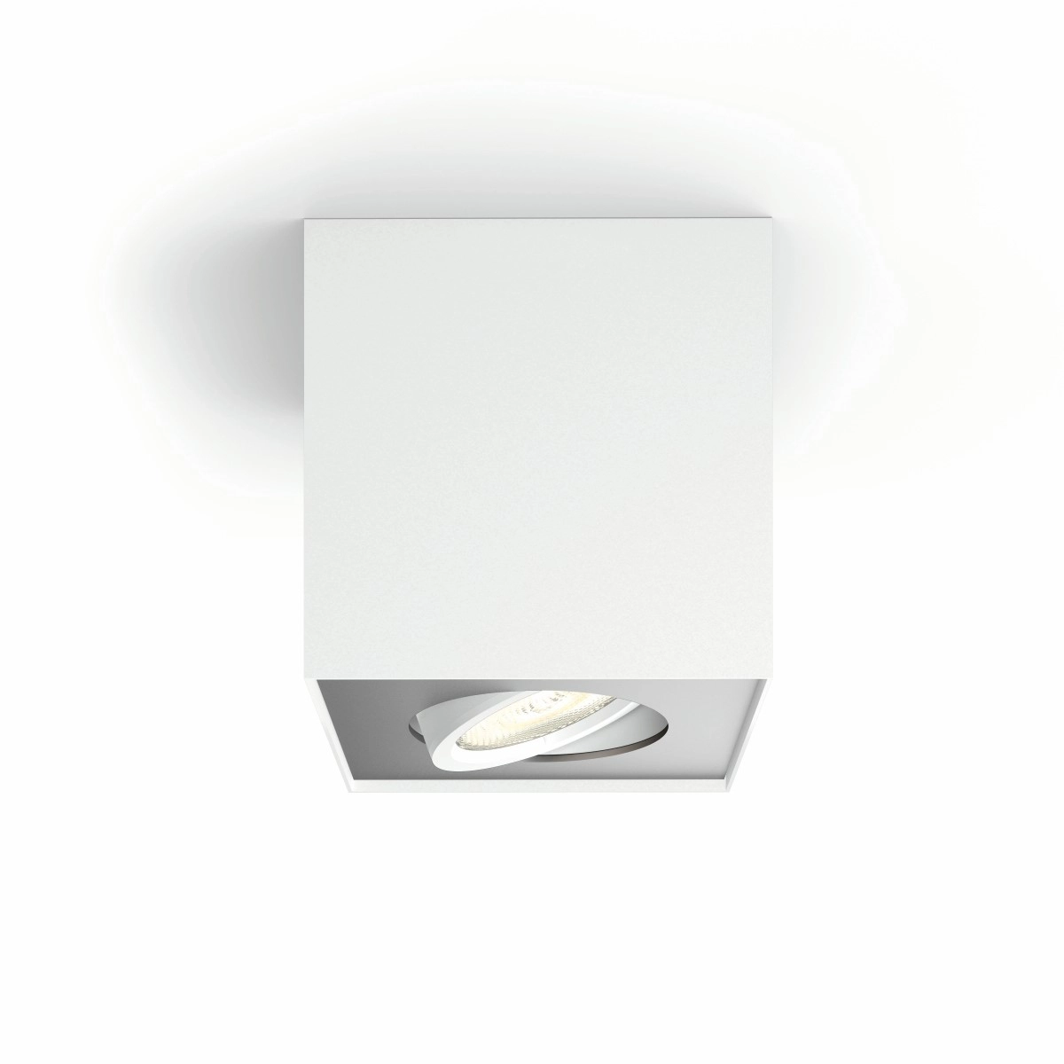 Spotlamp Box wit