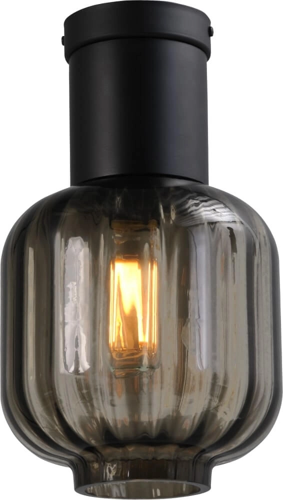 Design plafondlamp Lett lll 20cm zwart met smoke glas Design plafondlamp Lett lll 20cm zwart met smoke glas