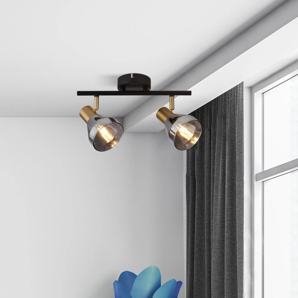 Plafondlamp Westminster met smoke glas 2-lichts Searchlight 5053423227894